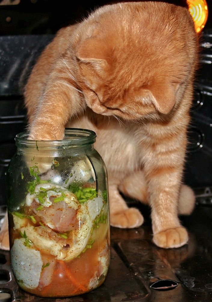 Photograph by Татьяна Бравая