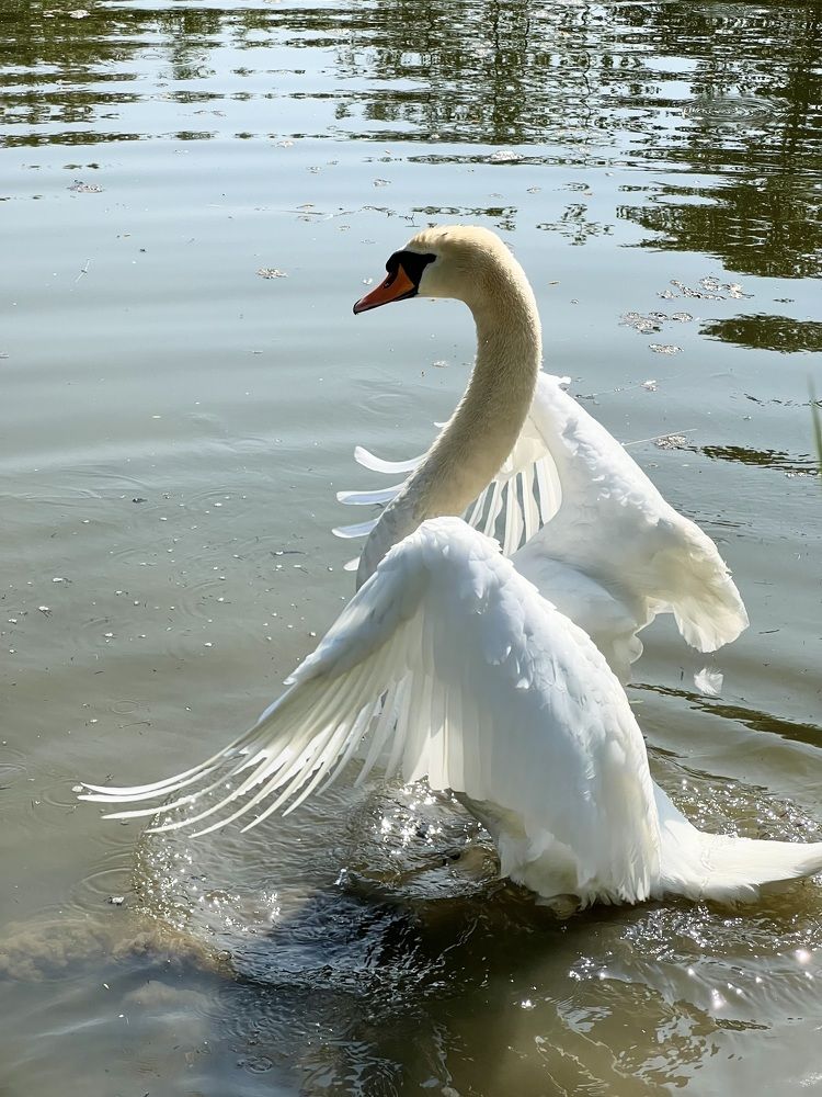 Photograph by Eugenia Schmidt