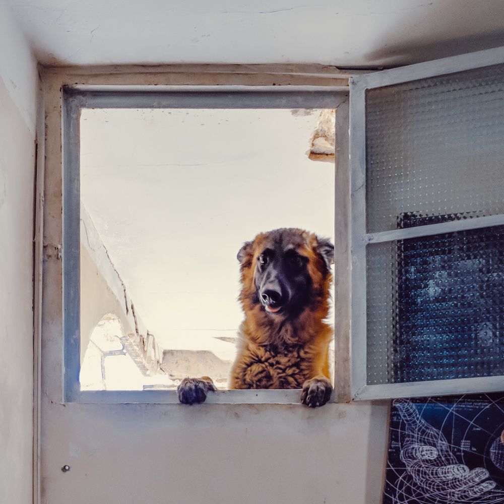 Фотография автора Fethi South Sider