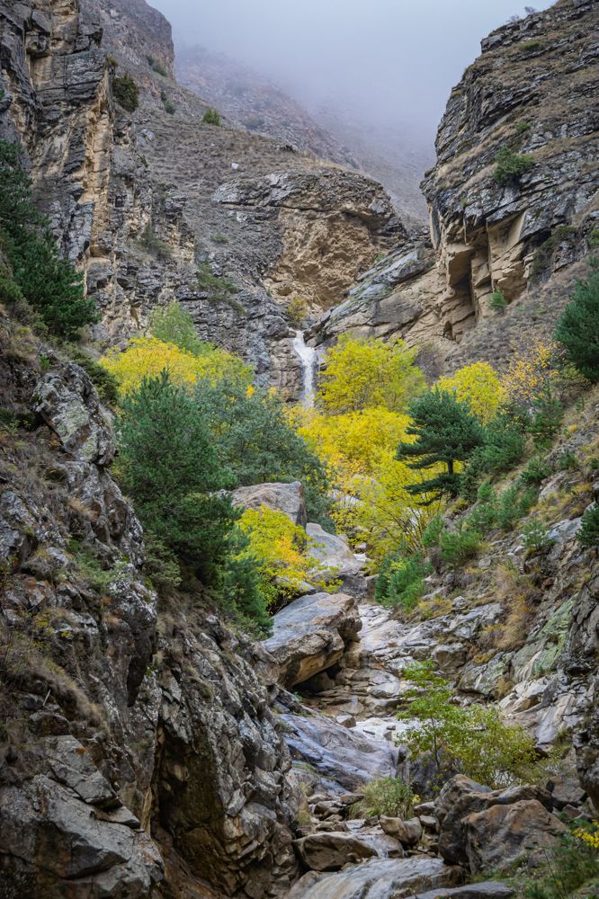 Фотография автора Оксана Белозерская