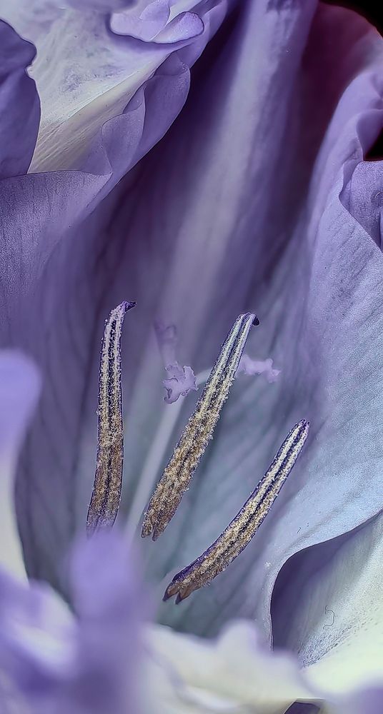 Photograph by Анна Казакова