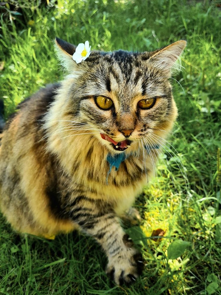 Photograph by Татьяна Соколовская