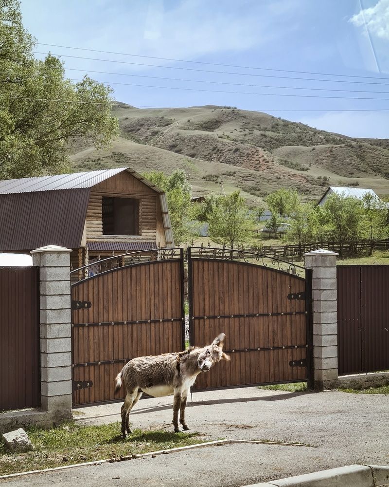 Photograph by Татьяна Соколовская