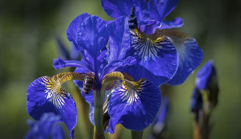 Photograph by Анна Панеева