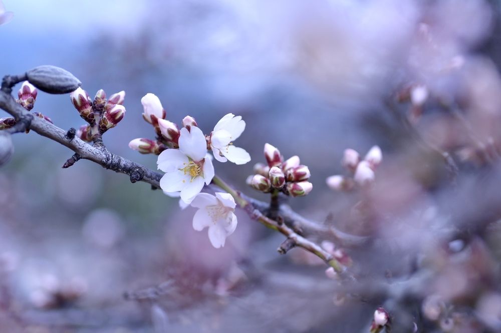 Photograph by Ольга Куколева