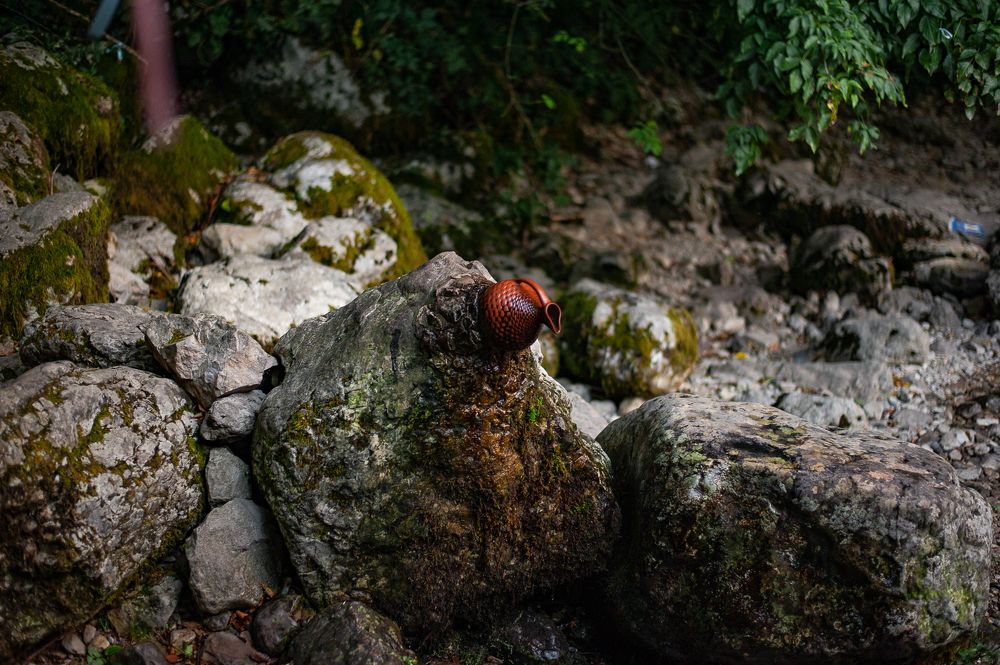 Фотография автора Елена Ефименко