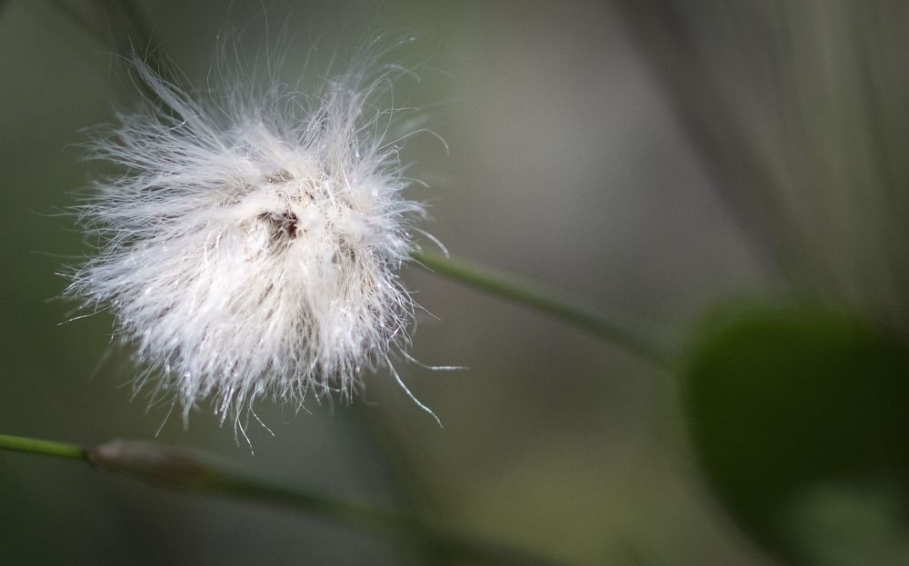 Photograph by Анна Панеева