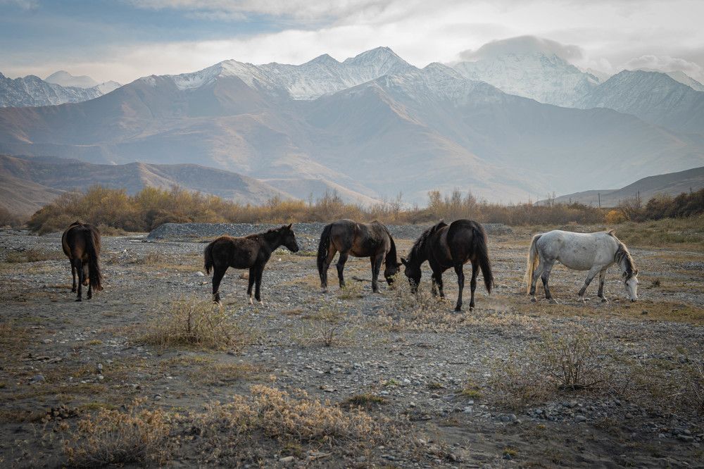 Фотография автора Оксана Белозерская