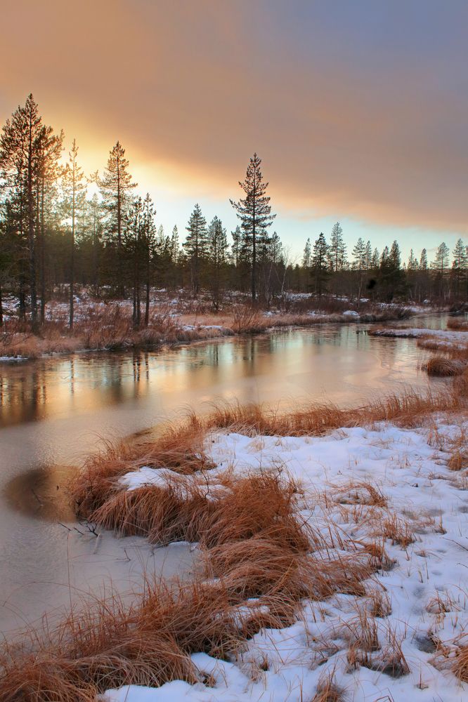 Последние дни с солнцем перед полярной ночью, Мурманская область.