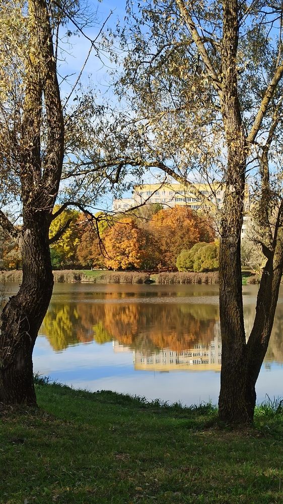 Photograph by Людмила Щуцкая