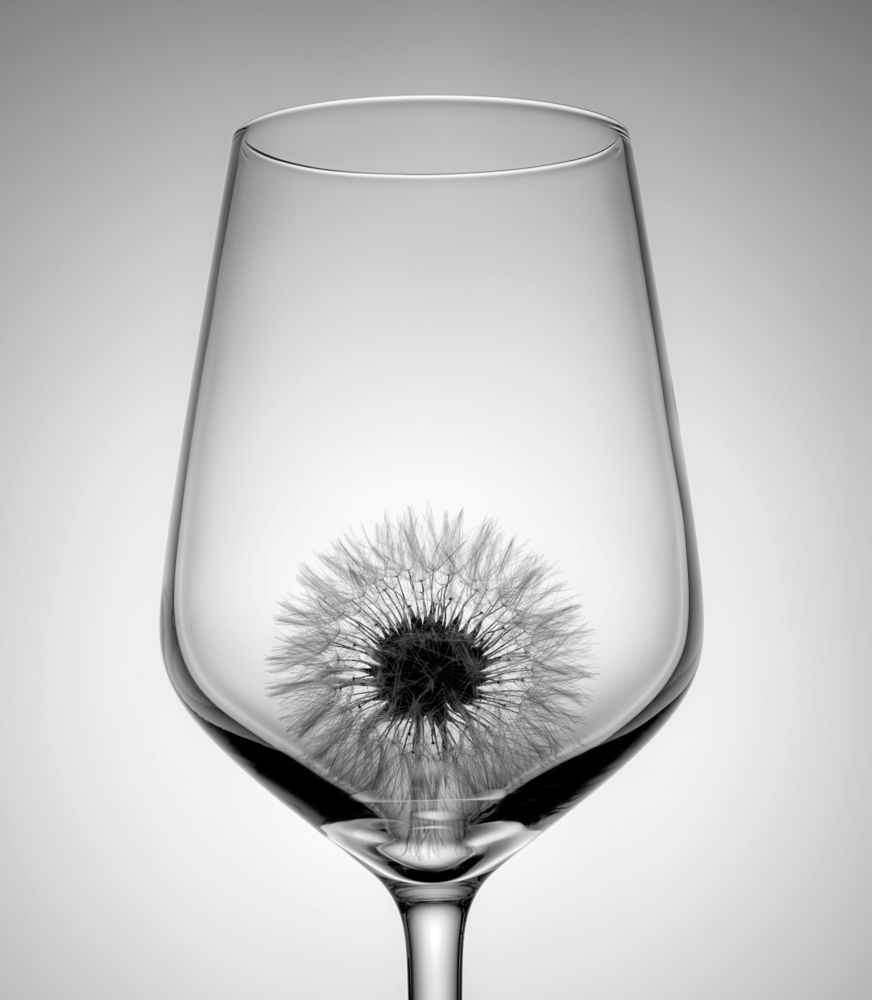 Photograph by Антон Серкин