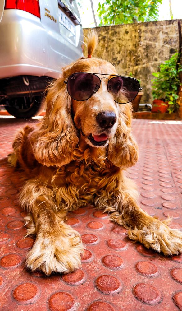 Photograph by Amal Madhu