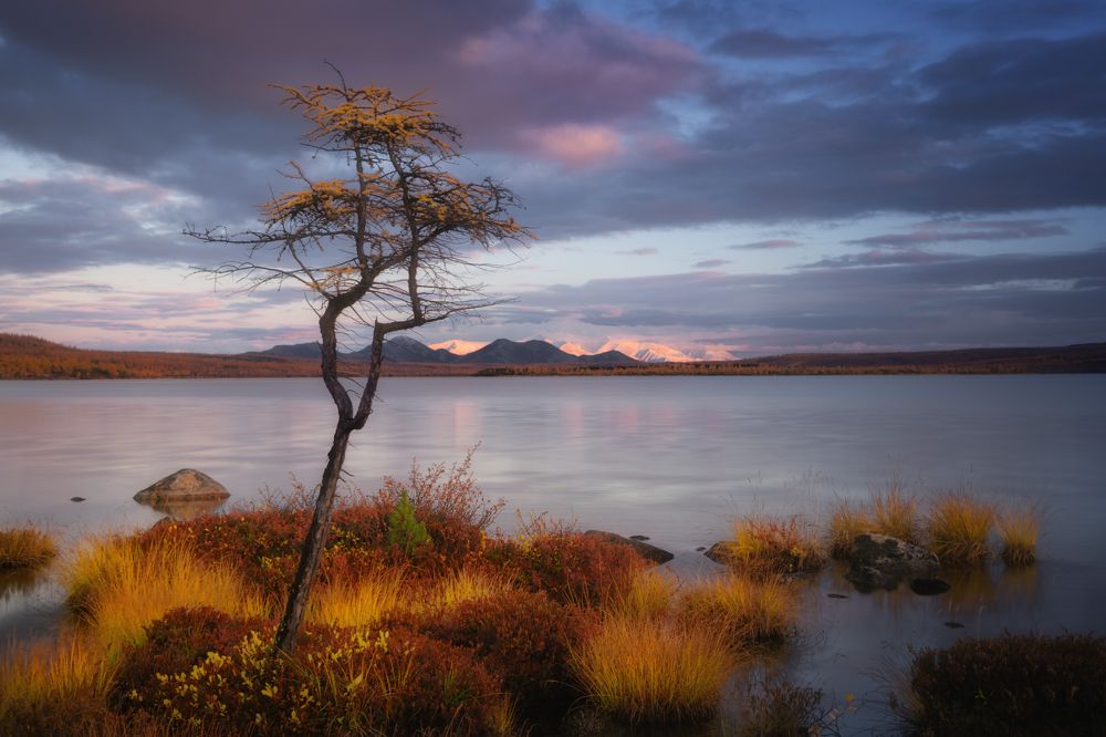 Photograph by Шишкин Дмитрий