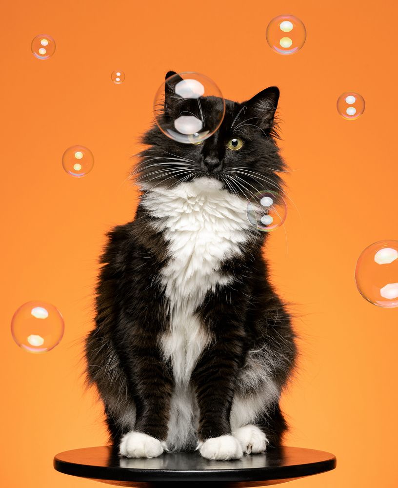 Photograph by Антон Серкин