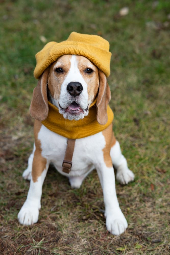 Photograph by Светлана Вербицкая