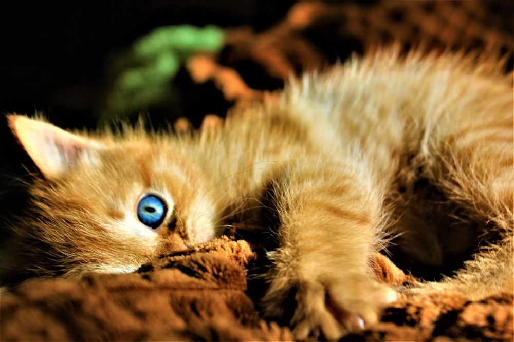 Photograph by Евгения Суслова