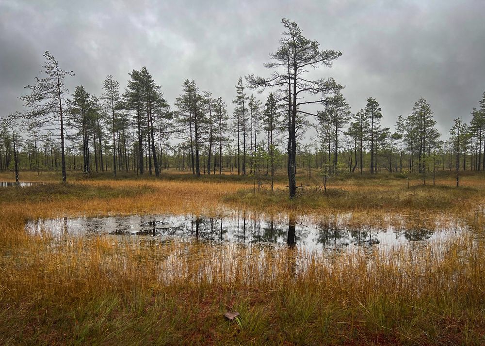 Фотография автора Ольга Белоусова