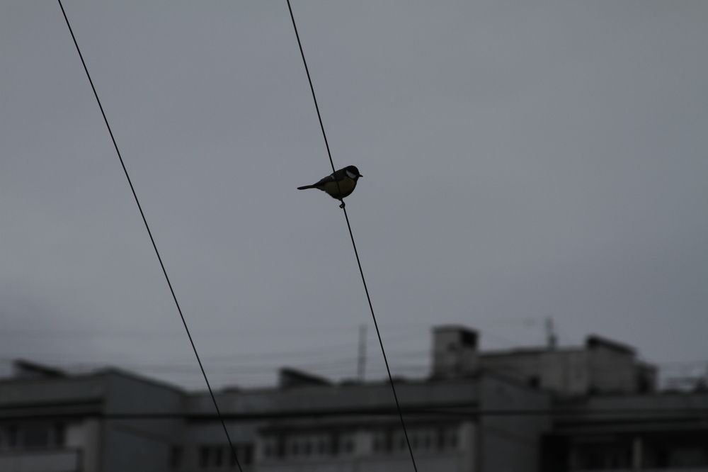 Photograph by Наталья Алексеева