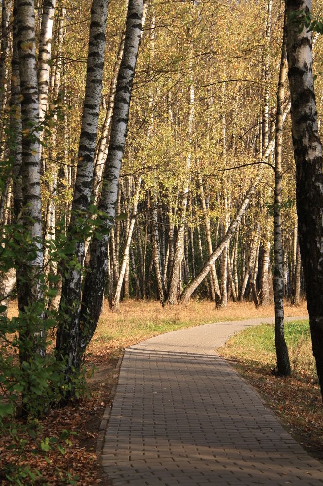 Photograph by Наталья Алексеева