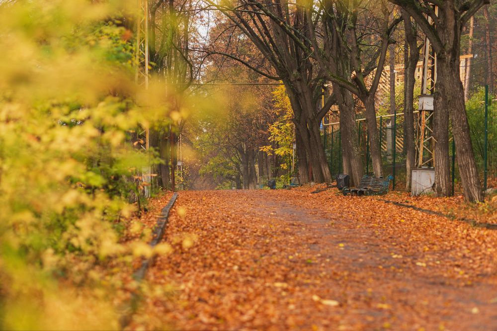 Photograph by Ирина Целовальникова