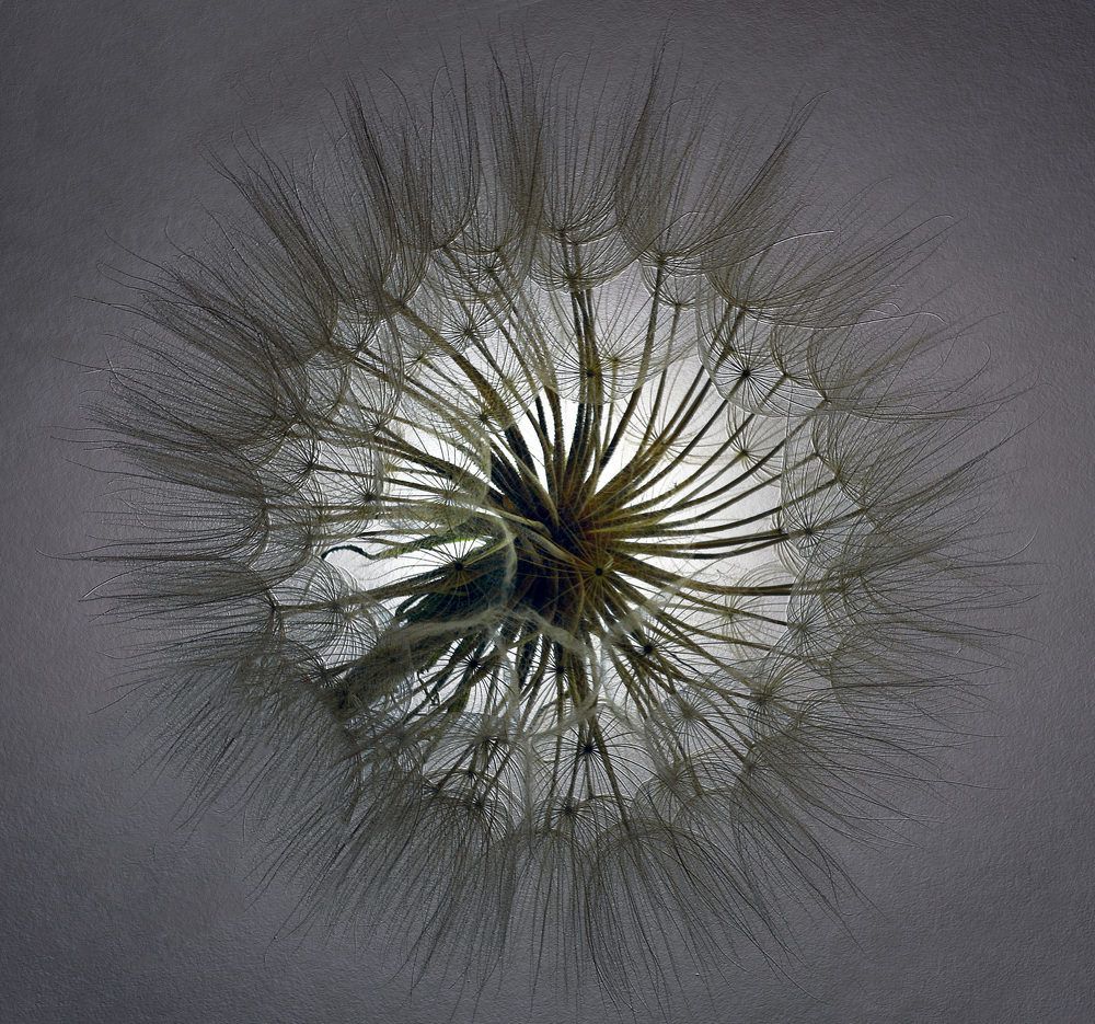 Портал в лето