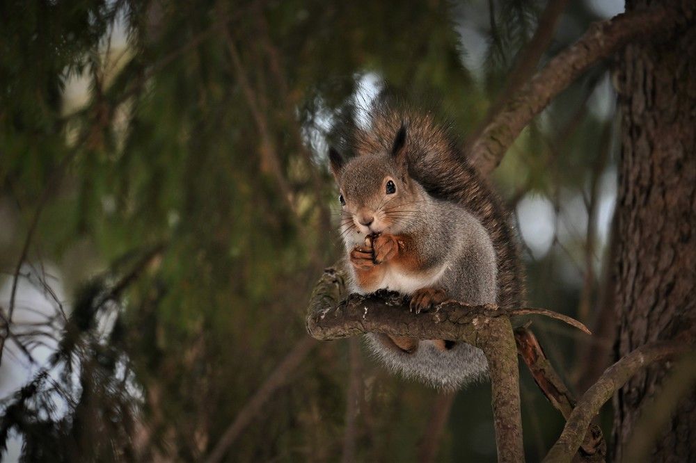 Фотография автора IRINA FILIPPOVA