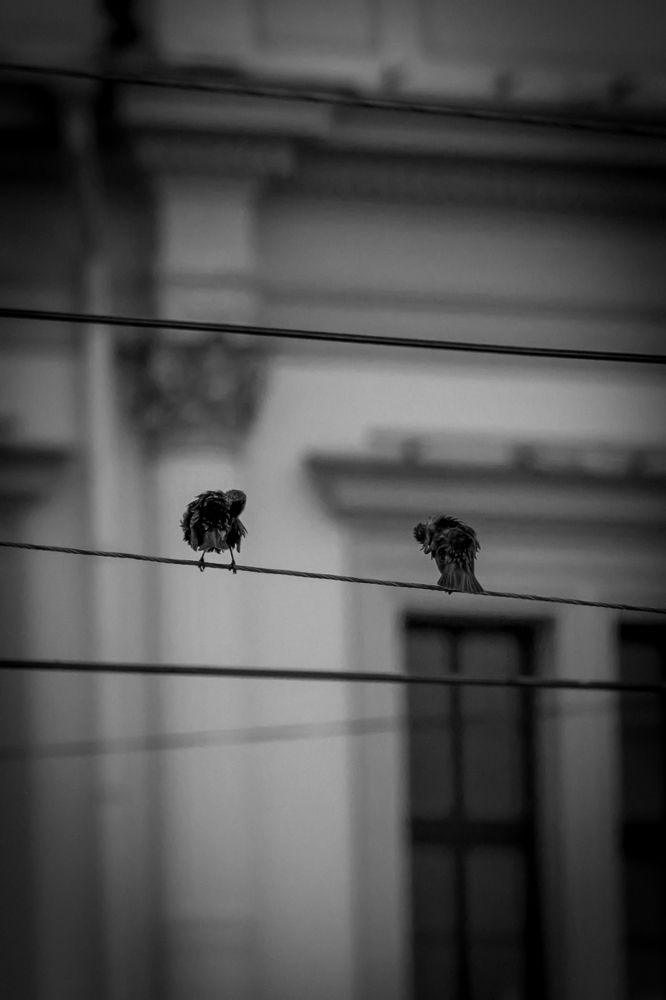 Photograph by Алексей Еремеев