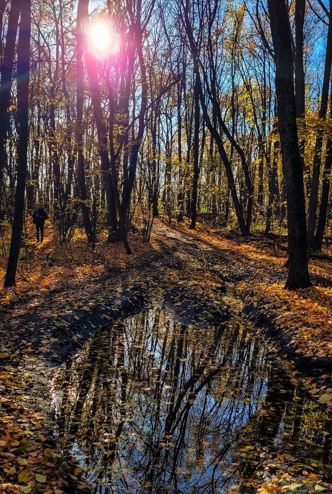 Photograph by Анна Григорьева