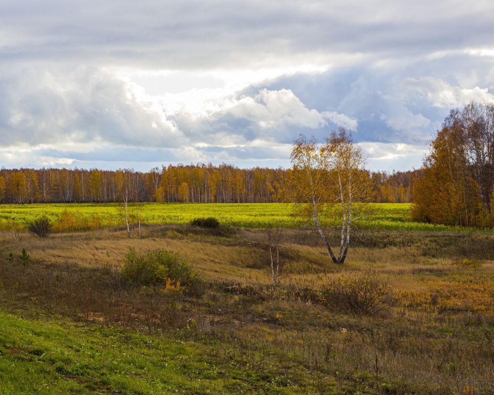 Photograph by 