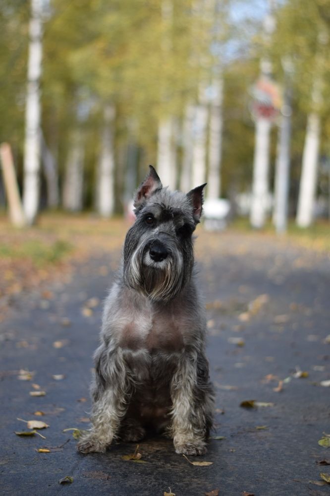 Photograph by Ирина Лучинская