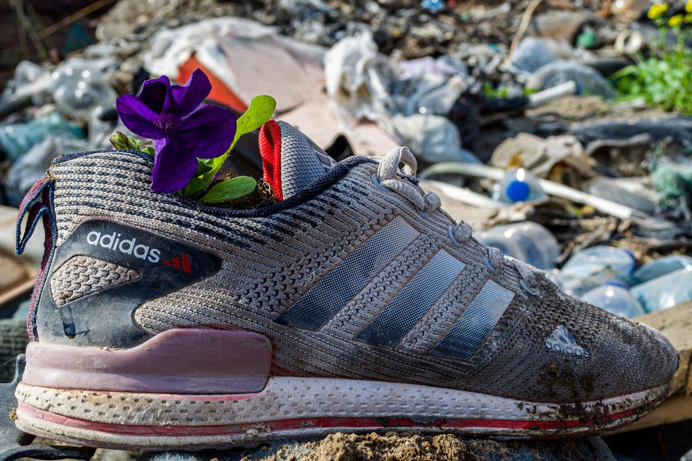 Photograph by Vladislav