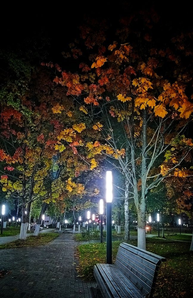 Photograph by Олеся Бронзова