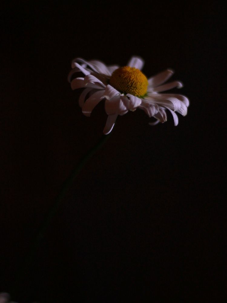 Photograph by Марина Беляева