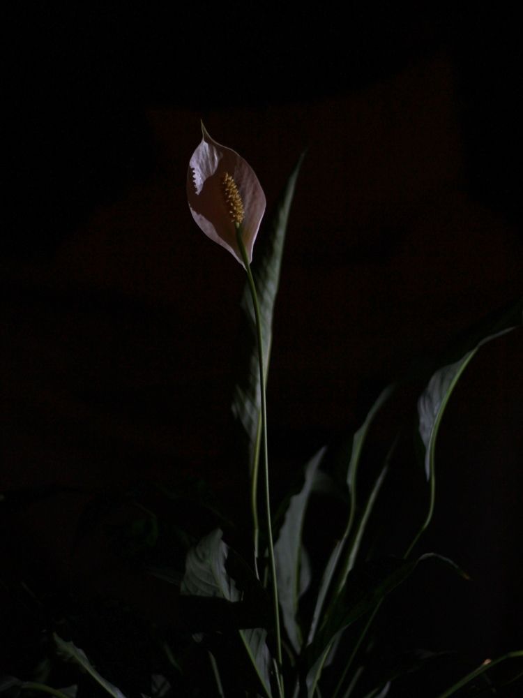 Photograph by Марина Беляева