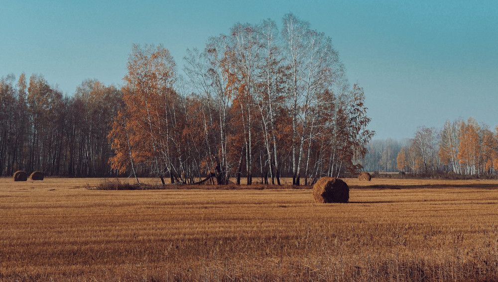 Photograph by Vladislav