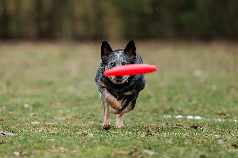 Photograph by Илья Юфа