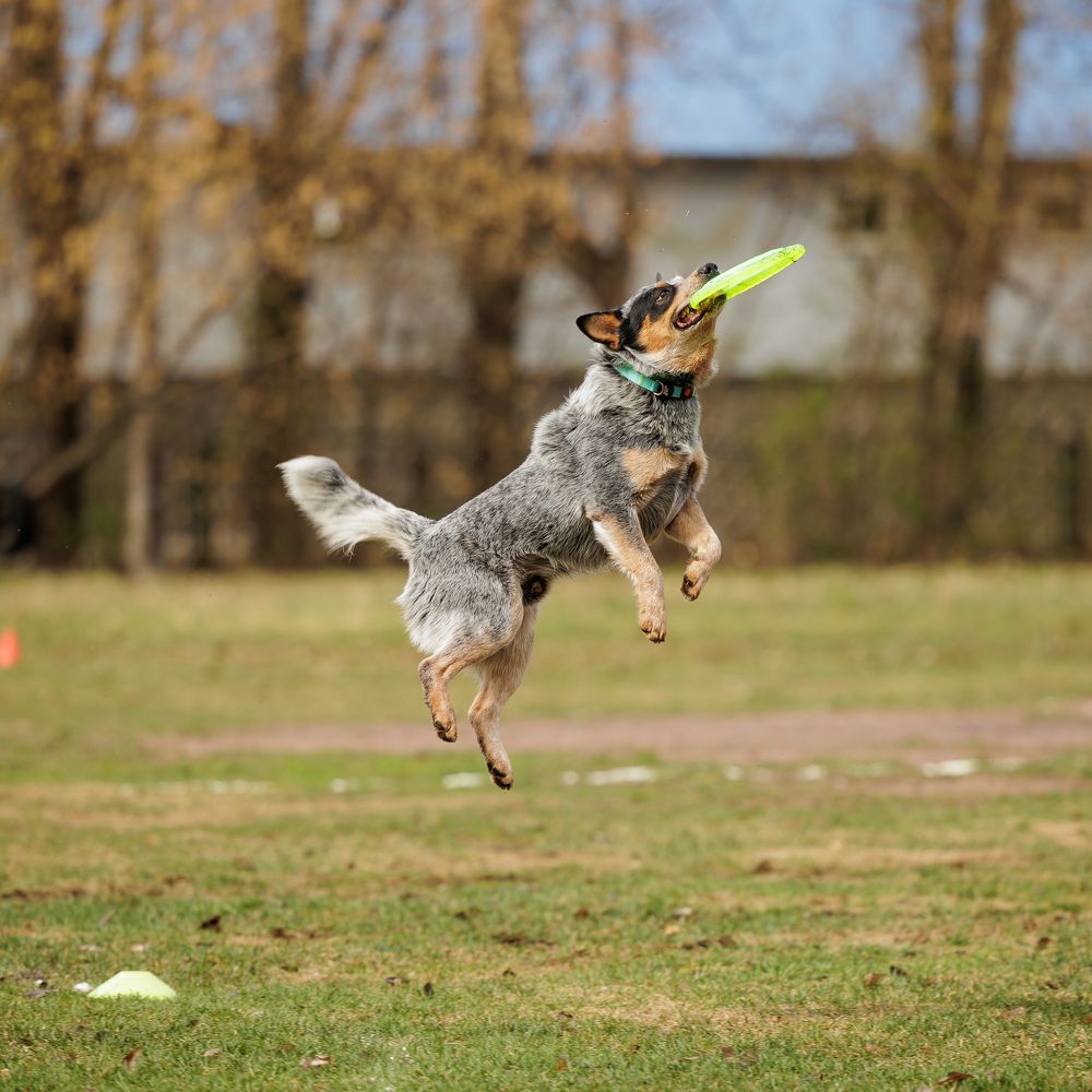 Photograph by Илья Юфа