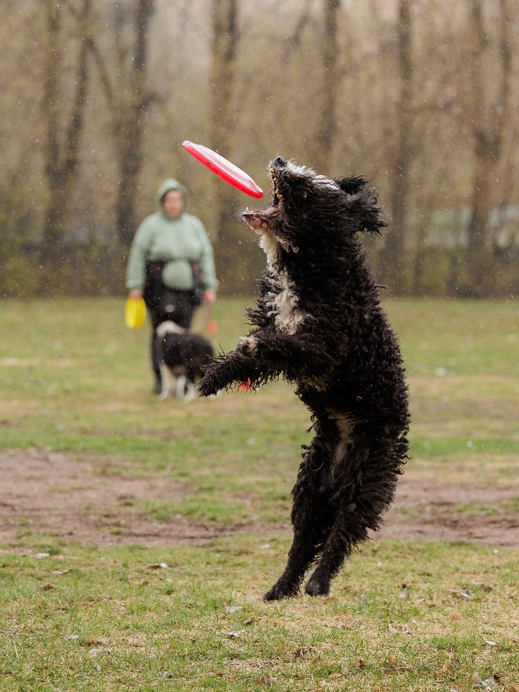 Photograph by Илья Юфа