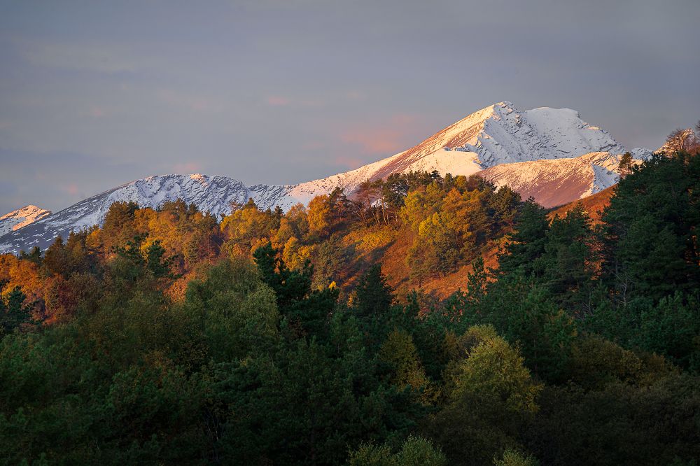 Photograph by Яна Каменская