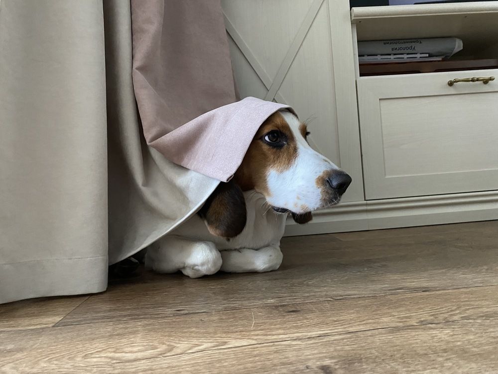 Photograph by Мостовой Дмитрий