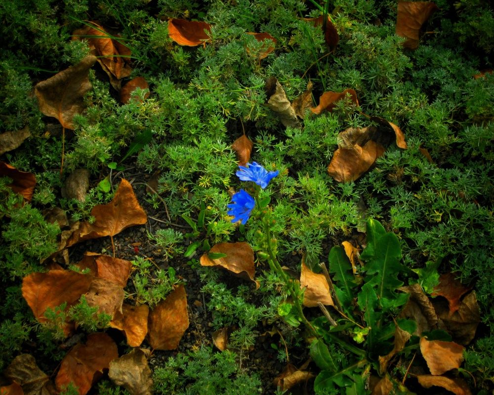 Photograph by Kanat Amre