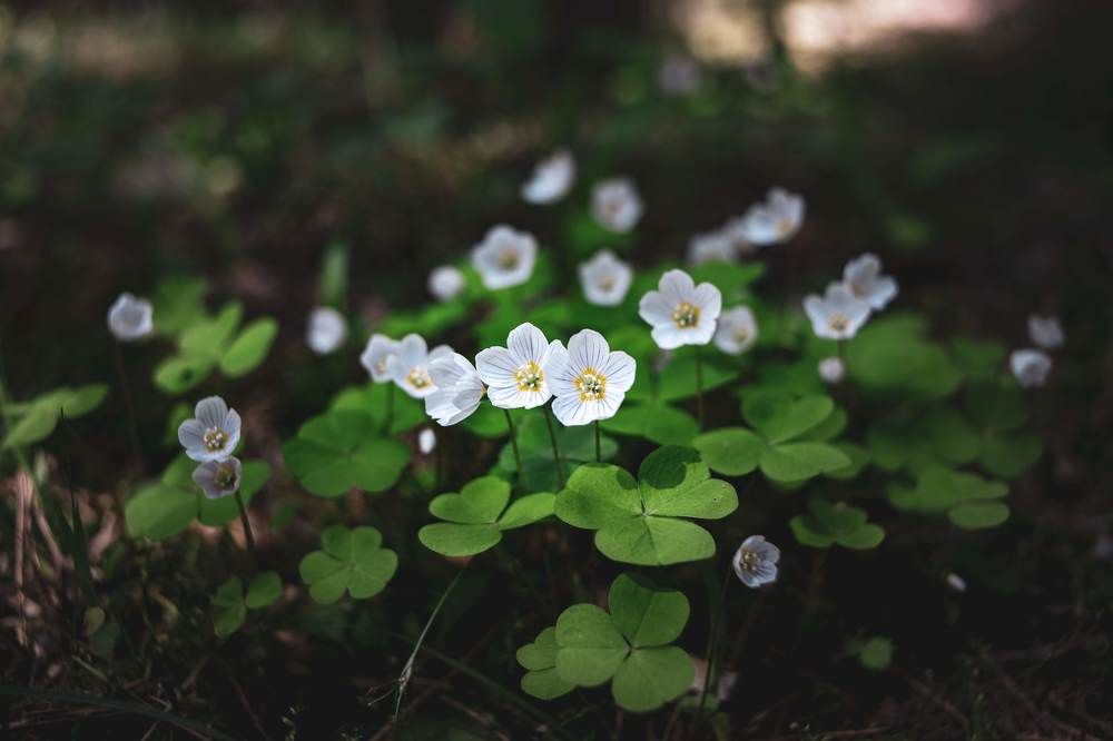 Photograph by Сергей Забиякин