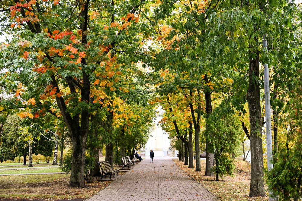 Фотография автора Юлия Кузнецова