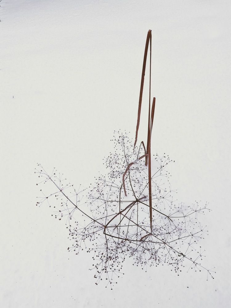 Photograph by Сергей Забиякин