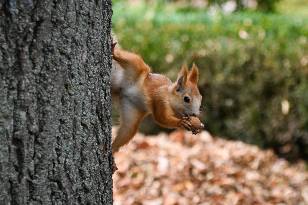 Фотография автора Юлия Кузнецова