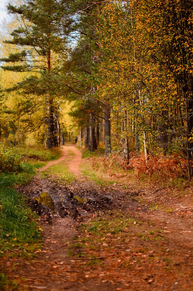 Photograph by Виталий Монахов