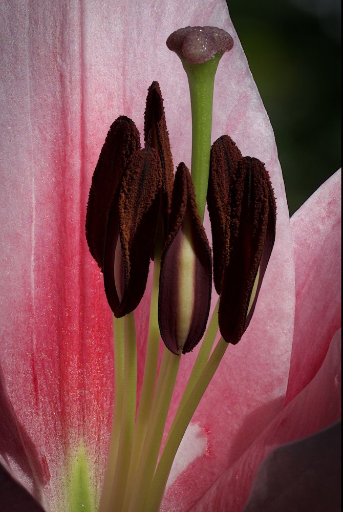 Photograph by Александр К