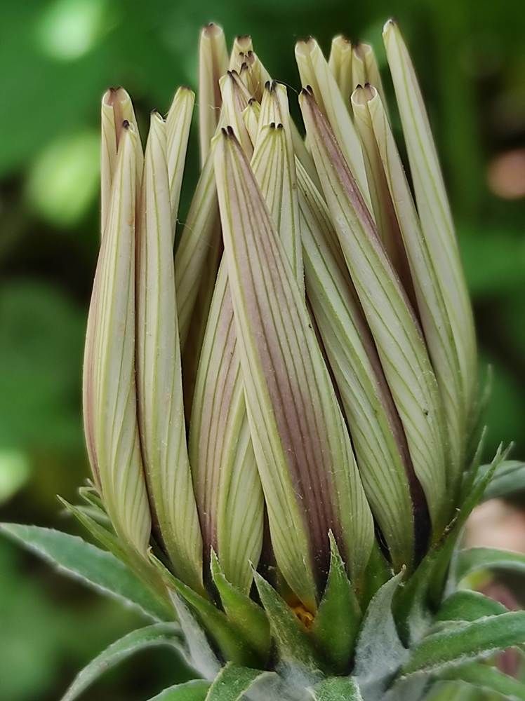 Photograph by Луиза Баширова