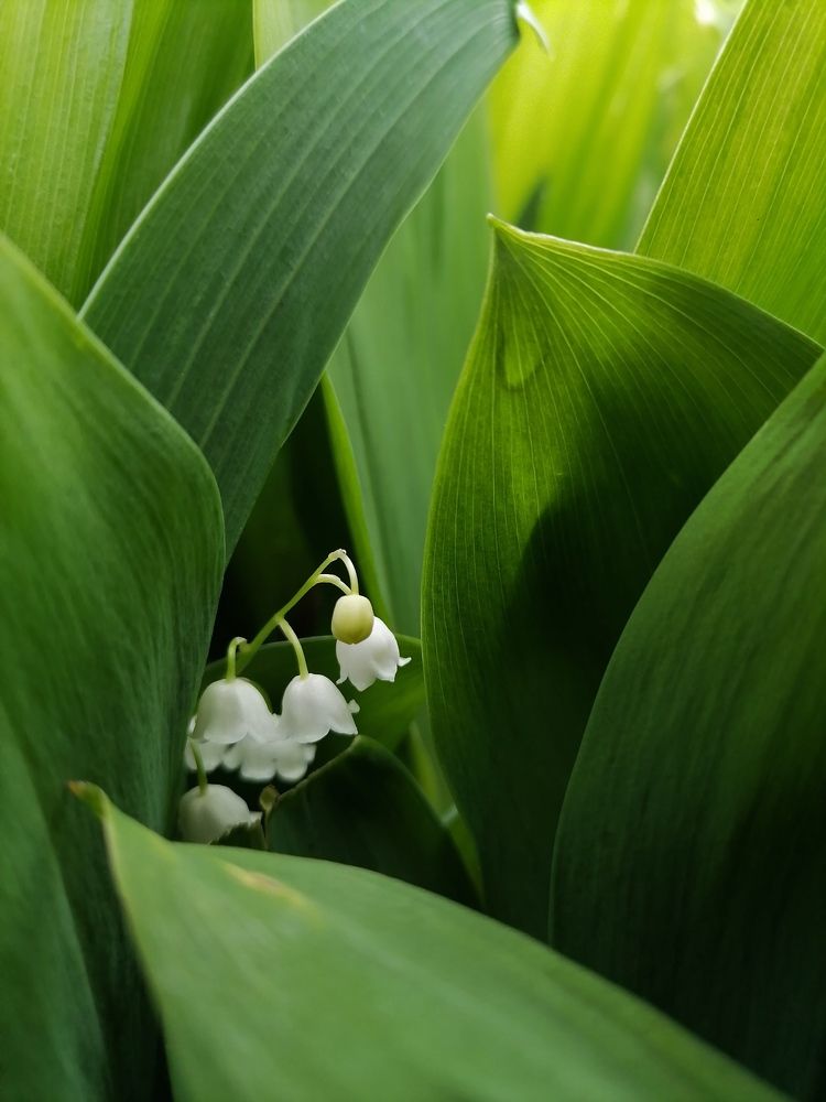 Photograph by Татьяна