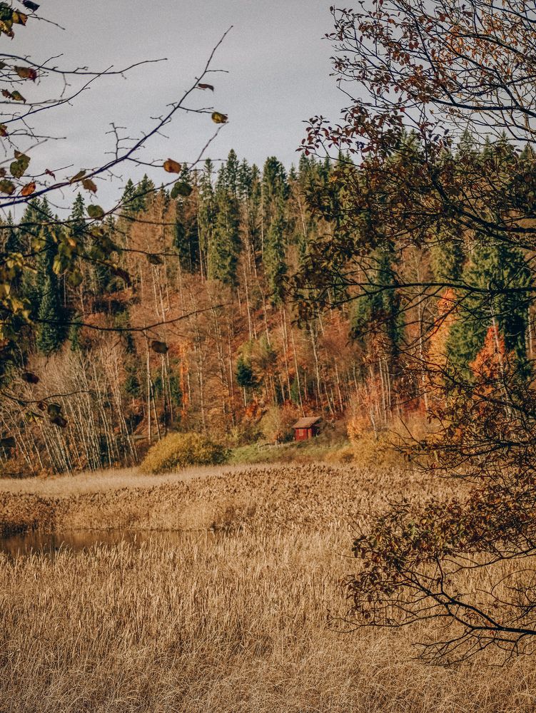 Photograph by Оксана Хабарова